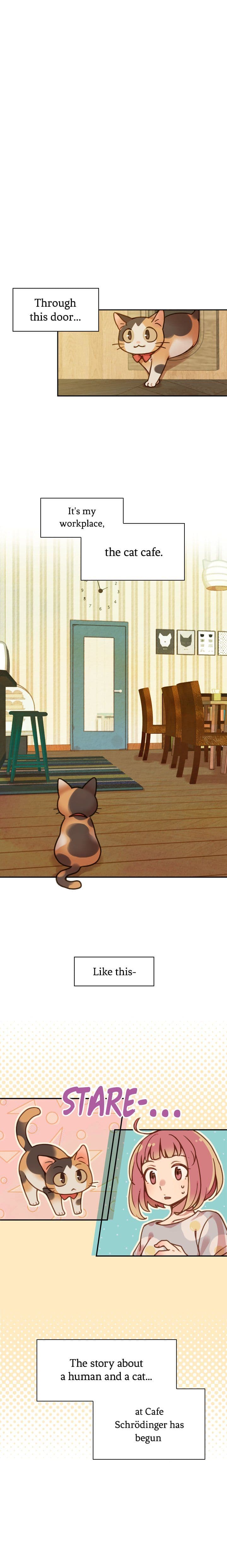 INVITED TO THE CAT CAFÉ - Chapter 2 - Page 1
