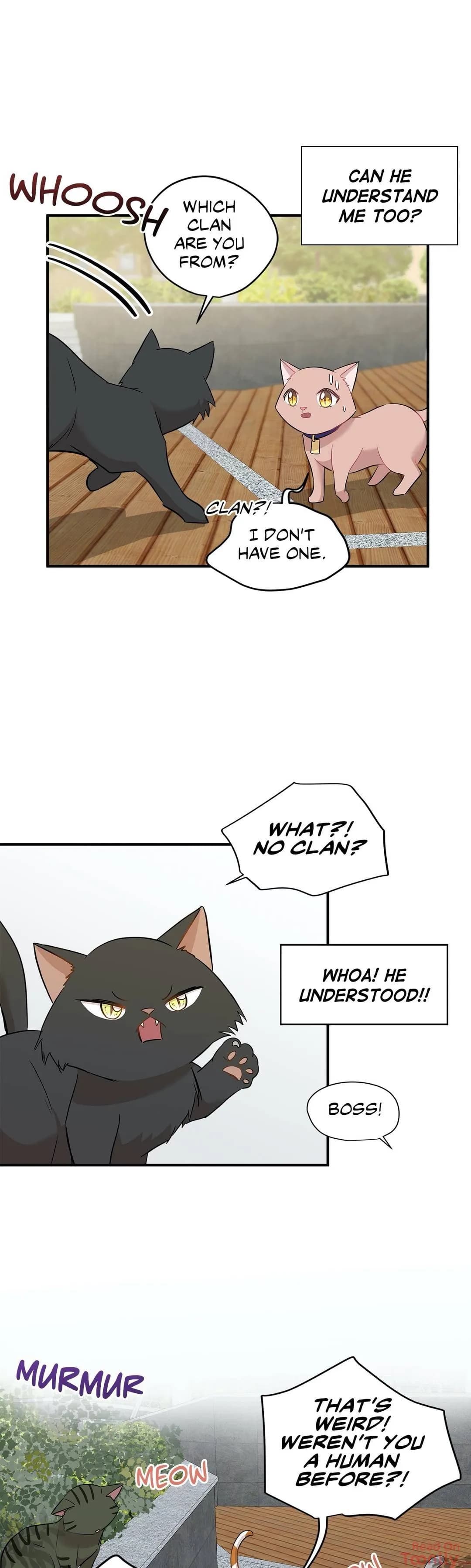 Just for a Meowment - Chapter 21 - Page 9